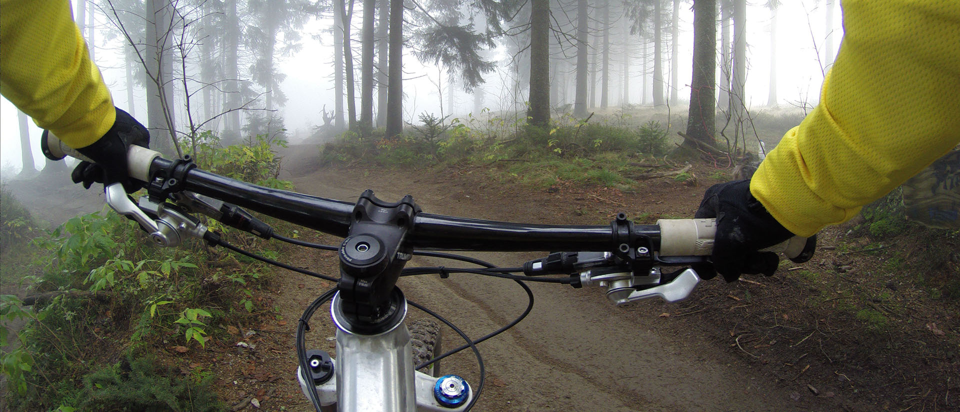 alexandra-dech-hI1DsDRJWvY-unsplash_1920x825